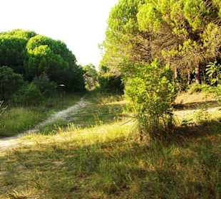 Fuß-/Radweg Naturreservat