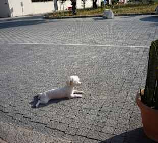 Bülent und Svetlana