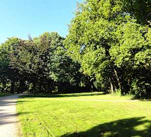 Spaziergang durch Knoops Park
