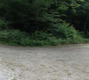 Schutzgebiet Spitzberg, Pfaffenberg