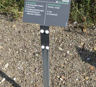 Erläuterungen der Kräuter