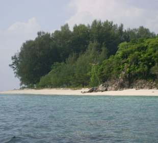 Banboo Island