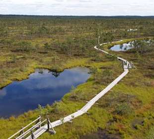 Seen und Steg durchs Gebiet