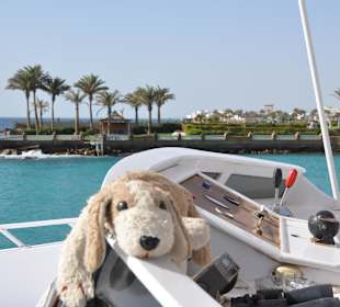 So läßt es sich leben