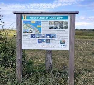 Grüner Brink in Fehmarn