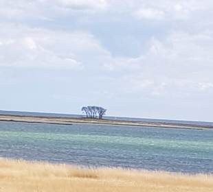 Strand Maasholm