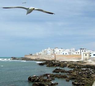 Essouira z lotu ptaka