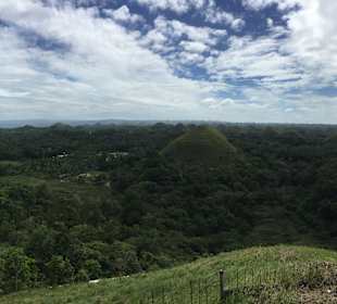 Chocolate Hills