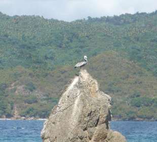 Cayo Levantado