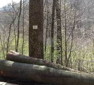 Geologischer Lehrpfad Kirnbachtal