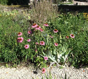 Klosterkirche Maria Gnadenzell
