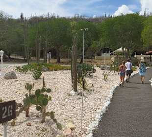 Hato Caves Eingangsbereich