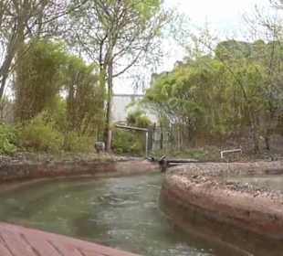 Land der Abenteuer - Dschungel X-pedition