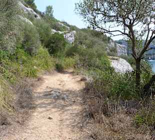 Der Weg