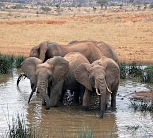 Tsavo West