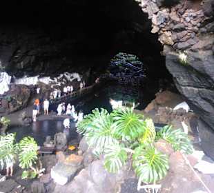 Wnętrze jaskinii ze słynnymi białymi krabami