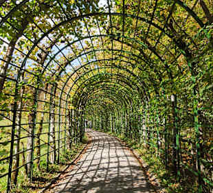 Romantischer Weg