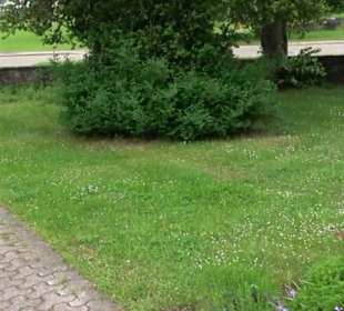 Friedhof Wittlensweiler