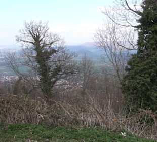 Teckberg
