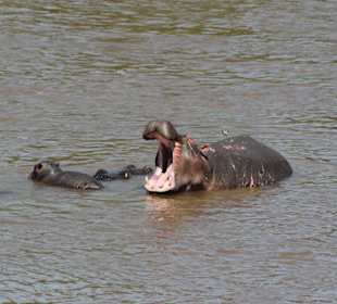 In Mara Baden muss müde machen