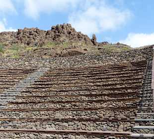Plätze für die Vogelshow