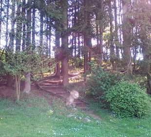 Panoramaweg Sankt Wendeler Land in Nonnweiler
