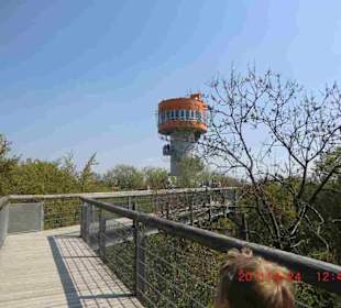 Pfad und Turm