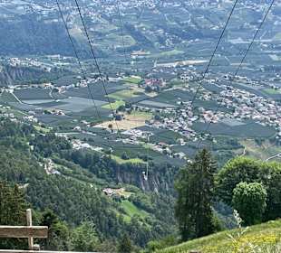 Ausblick