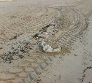 Müll am Strand