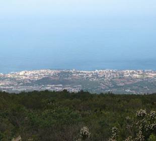 Puerto de la Cruz
