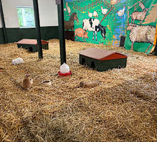 Irrland Bauernhof-Erlebnisoase