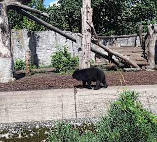 Zoo Wrocław