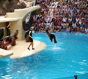 Ausflug nach Loro Parque