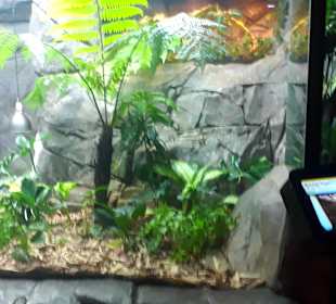 Singapur Zoo
