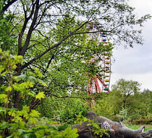 Spreepark Plänterwald