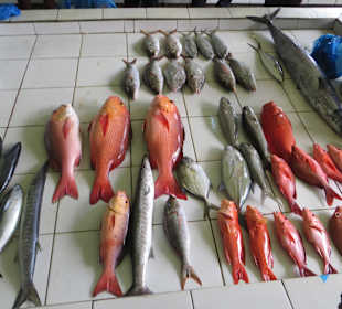 Unterwegs im einheimischen Markt 