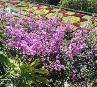 Botanischer Garten
