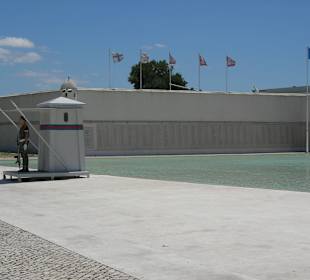 Museo del pato Combate