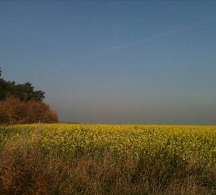 Kampinoski Park Narodowy