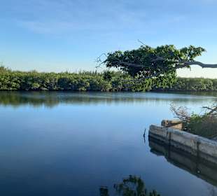 Stadtrundgang Varadero