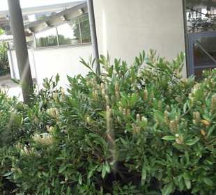 Herz-Jesu-Kirche Lützenhardt