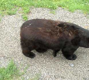 Zoo Olomouc