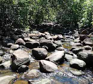 Tour mit “Lucky“