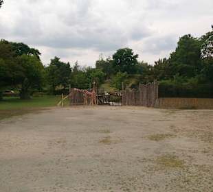 Safari Dvůr Králové nad Labem