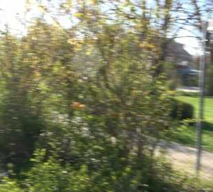 Panorama Therme Beuren