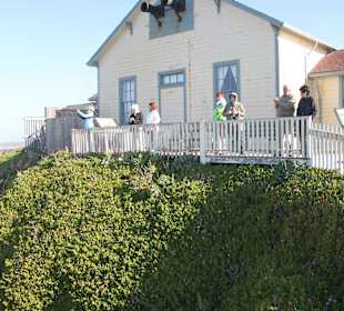 Pigeon Point Lighthouse