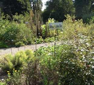 Botanischer Garten München