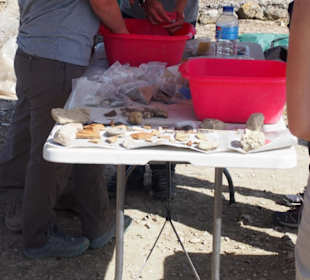 Ausgrabungsstätte Italica