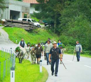 Almabtrieb