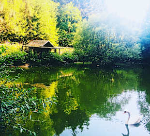 Wandern Vöhl